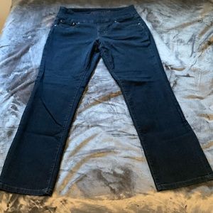 Jag Jeans - Size 12P High Rise Straight Leg